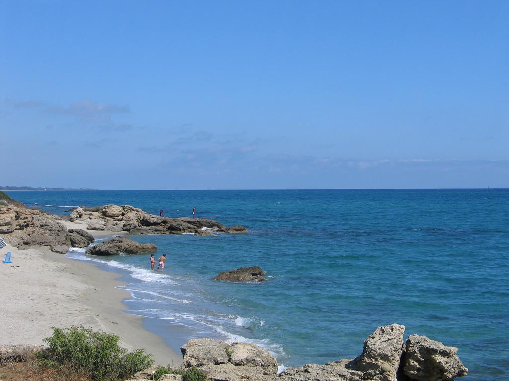 Le Clos Des Arbousiers Linguizzetta Exteriér fotografie